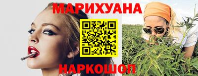 амф Гусев