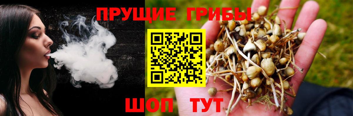 Псилоцибиновые грибы прущие грибы Павловский Посад