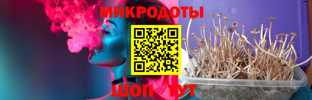 Павловский Посад  Галлюциногенные грибы мицелий  наркота  Галлюциногенные грибы Psilocybe  Вход с VPN 